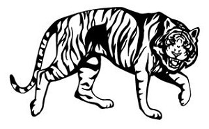Tiger v8 Decal Sticker 