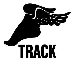 Track v3 Decal Sticker 