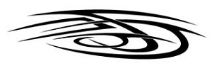 Tribal Design v38 Decal Sticker 