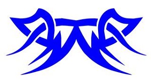 Tribal Design v64 Decal Sticker 