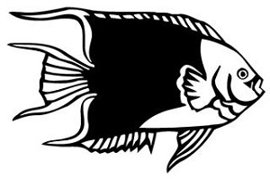 Tropical Fish v1 Decal Sticker 