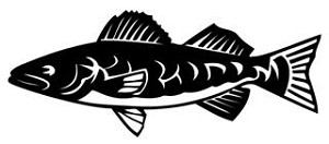 Trout v1 Decal Sticker 