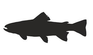 Trout Silhouette Decal Sticker 