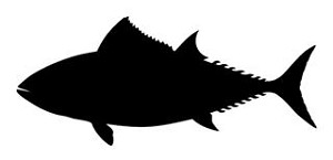 Tuna Silhouette Decal Sticker 