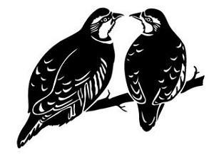 Turtle Doves Decal Sticker 