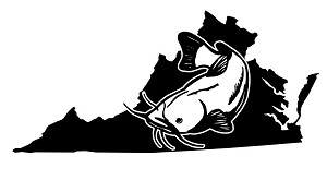 Virgina Catfish Decal Sticker 