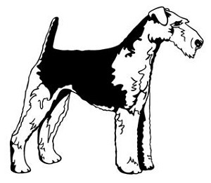 Welsh Terrier Decal Sticker 