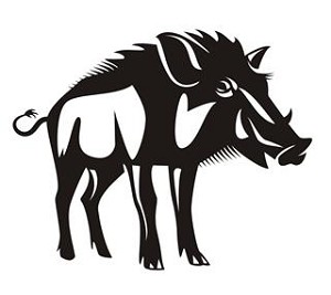 Wild Boar Decal Sticker 