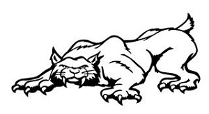 Wildcat v2 Decal Sticker 