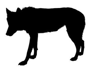 Wolf Silhouette v1 Decal Sticker 