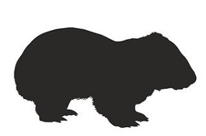 Wombat Silhouette Decal Sticker 