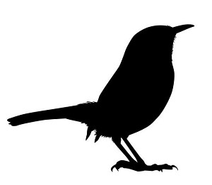 Wren Silhouette Decal Sticker 