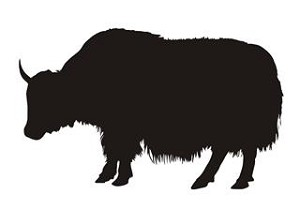 Yak Silhouette Decal Sticker 