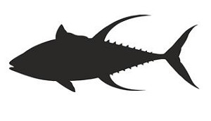 Yellow Fin Tuna Silhouette Decal Sticker 