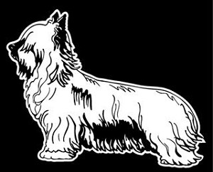Yorkshire Terrier Decal Sticker 