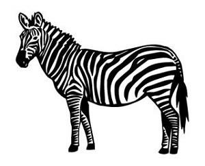 Zebra v1 Decal Sticker 