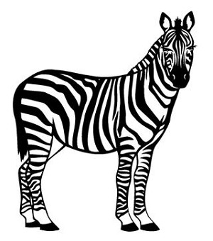 Zebra v2 Decal Sticker 