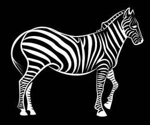 Zebra v3 Decal Sticker 