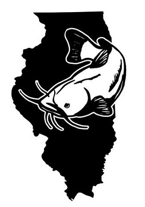 Illinois Catfish Decal Sticker 