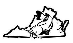 Virginia Catfish v2 Decal Sticker 