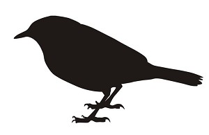 Warbler Bird Silhouette Decal Sticker 