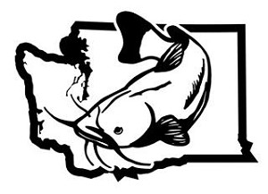 Washington Catfish v2 Decal Sticker 